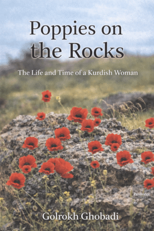 Poppies on the Rocky Ground